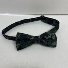 Item thumbnail for item f9ceb2f5-7371-42c7-98c9-f7d055bc1c5f