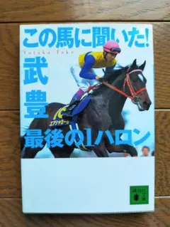 武豊　本