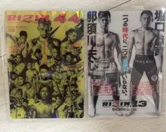 RIZIN ポテトスナック RIZIN44 RIZIN13 2枚セット