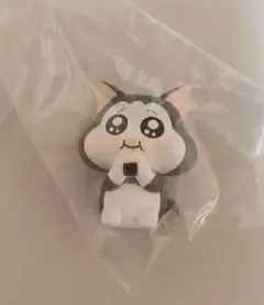 まめきちまめこ（メロ、シンバ）