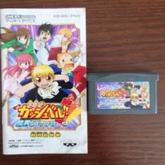 金色のガッシュベル　魔界のブックマーク　ソフトと説明書のみ。外箱無し