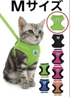 Item thumbnail for item 56ba4483-6005-4e53-9feb-f4bc8c2687f4