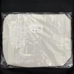 Item thumbnail for item 8c7a1bd9-0300-434f-9c4f-c7720c580065