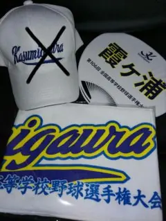 2024甲子園 霞ヶ浦高校応援グッズ Amazon.co.jp: 2024甲子園 霞ヶ浦高校応援グッズ② : おもちゃ