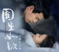 中国ドラマ美人骨前編、後編CD3枚組