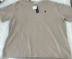 Item thumbnail for item 2c164119-0538-46b3-9761-73983f518748