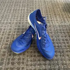 Item thumbnail for item 177e850e-03a1-4863-8846-e2bc221bdf55