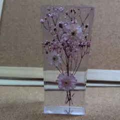 押し花の長方形置物
