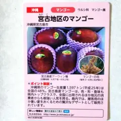 Item thumbnail for item 9e15a893-16c6-4286-b505-dd7fa41f8d2a