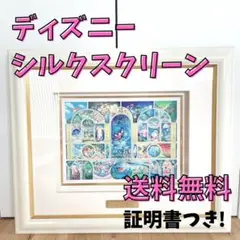 ⭐️送料無料⭐️ 限定品 ディズニー シルクスクリーン ハイラインシリーズ