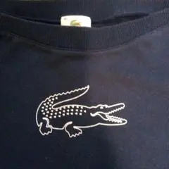 Lacoste ネイビー スウェット Mサイズ