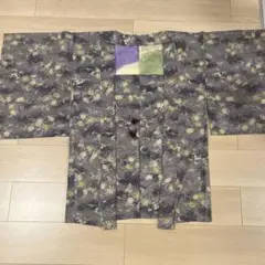 Item thumbnail for item a9b16808-fc9a-49ec-88c0-4a871bd8f4b6