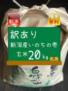 【令和4年新米】新潟産 いのちの壱 玄米20kg 残留農薬検査済