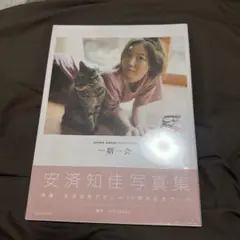 Item thumbnail for item 81a02176-be30-410e-a819-d5e3605ec17a