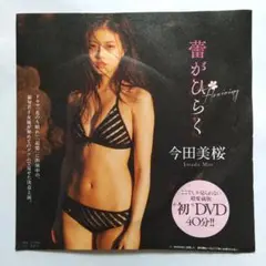 今田美桜 週刊プレイボーイ付録DVD(未開封 )