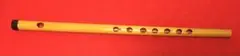 Item thumbnail for item 67dfdc00-90e9-4173-b1a1-b4114365de47