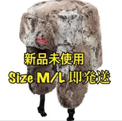 Item thumbnail for item 0af7ec55-192b-4b93-91ef-4aa54f069833