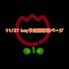 ⚠️11/27boy予定様専用ページ⚠️ベビービョルン バウンサーブリス