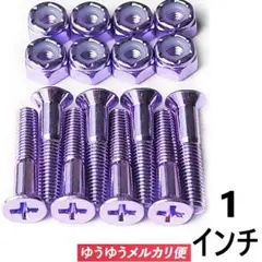 処分セールスケボー ビス 1インチ プラス パープル　スケートボード　紫　色