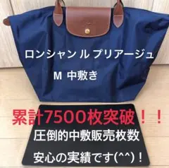 バッグ中敷　ロンシャン　1623 M 中敷き 底板 エルベシャプリエ