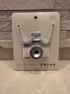 Item thumbnail for item ee5ccc07-4040-496c-8e5b-f13835114ed1