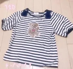 メゾピアノ(mezzo piano)マリンくま　5分Tシャツサイズ120ボーダー