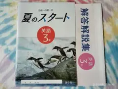 新学社 合格への第一歩 夏のスタート英語３年