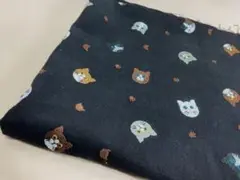 Item thumbnail for item 0c6bb8cb-6d06-48c4-8177-088812b361ca