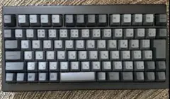 REALFORCE RC1 キーボード 70% ブラック 30g