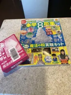 小学8年生 魔法の粉実験キット付