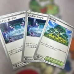3枚セット