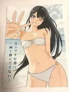 c106 たむらみかん　青春ブタ野郎　新刊　作画監督