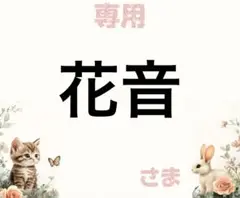 専用