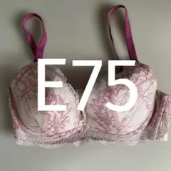 E75 ウイング/ワコール　レシアージュ　ブラジャー PB1001