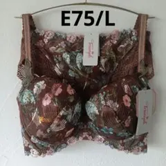 E75/L ブラウン　レッドレーベル バイ トリンプ　寄せアゲハ