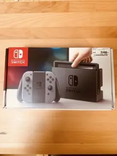 Nintendo Switch 初期型 グレー 本体 + 付属品