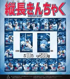 中日ドラゴンズ ガチャガチャ 縦長きんちゃく 木下拓哉選手