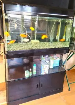ADA ライトスクリーン90 中古品 2025年最新】90cm水槽 バックスクリーンの人気アイテム - メルカリ