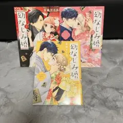 幼なじみ婚 1 2 3 巻