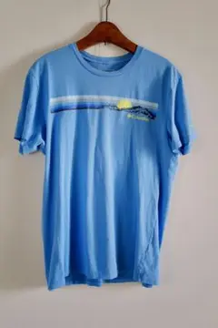 古着 Ｌ／コロンビア グラフィック Tシャツ ライトブルー