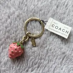 2025年最新】coach いちご キーホルダーの人気アイテム - メルカリ
