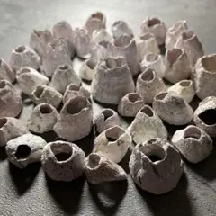 Item thumbnail for item 90130a57-e8c7-4349-b2e4-5f041c734fe2