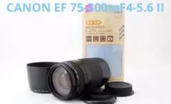 Item thumbnail for item 12c6756b-5d94-4ac1-8407-5b860168b20b