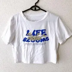 DAZY クロップド丈 ロゴ ￼￼Tシャツ 半袖 チビT 白　XL