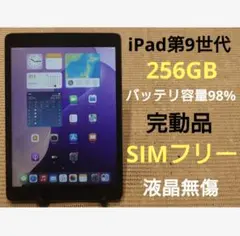 完動品SIMフリー液晶無傷iPad第9世代A2604本体256GB YWJ54