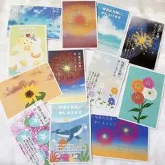 残暑見舞い　私製はがき　10枚　残暑お見舞い申し上げます　かわいい　おしゃれ