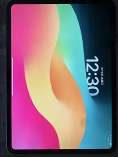 【最安値】iPad Pro11インチ 第5世代 M4チップ