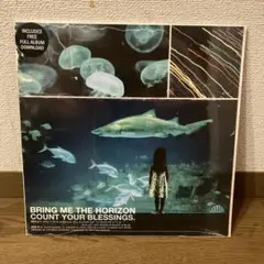 中古レコード　ブリング・ミー・ザ・ホライズン　3点セット 中古レコード ブリング・ミー・ザ・ホライズン 3点セット 2025年