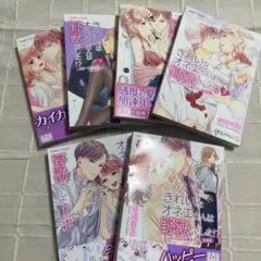 きれいなオネエさんは野獣でした！？ エリートさんと社畜女子 6巻セット