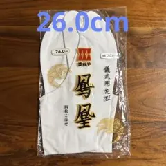 Item thumbnail for item e250e1a5-adf2-43a5-9967-95eee1f9bb94